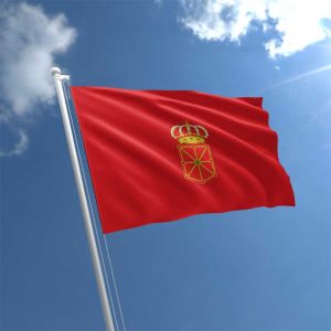 Navarre Flag
