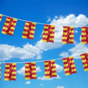 Northumberland Bunting 