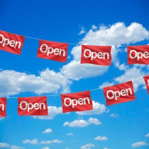 Open Bunting