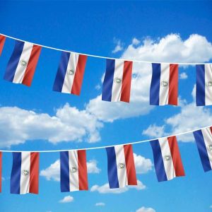 Paraguay Bunting