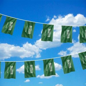 Saudi Arabia Bunting 