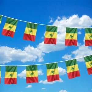 Senegal Bunting