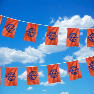 Sikh Bunting