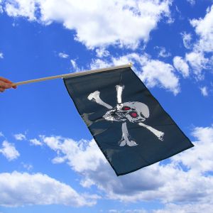 Skull Red Eyes Hand Waving Flag
