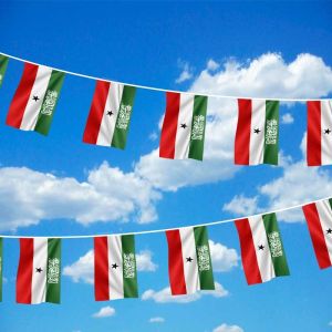 Somaliland Bunting 
