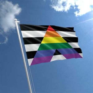 Straight Ally Flag