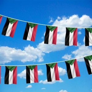 Sudan Bunting