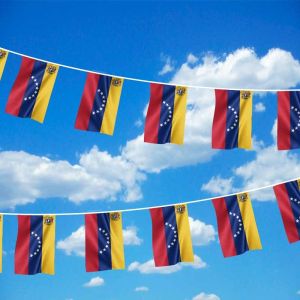 Venezuela Crest Bunting