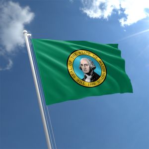 Washington Flag