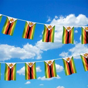 Zimbabwe Bunting