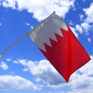 Bahrain Hand Waving Flag