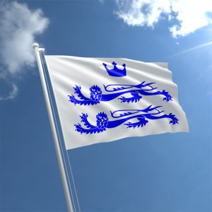 unofficial Berkshire Flag
