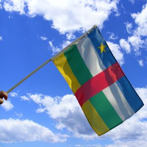 Central African Republic Hand Waving Flag