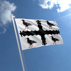 Flintshire Flag 