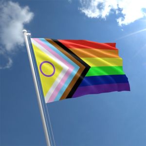 Intersex Progress Pride Flag 8ft x 5ft  - Rope & Toggle