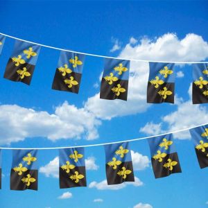 Monmouthshire Bunting