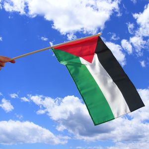 Palestine Hand Waving Flag