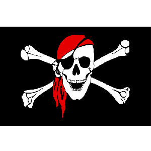 Skull Bandana Flag