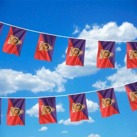 Adjutant General Corps Flag Bunting