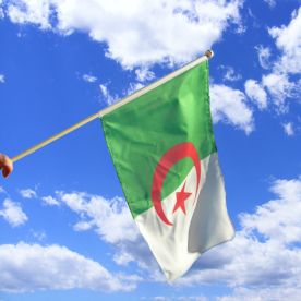 Algeria Hand Waving Flag