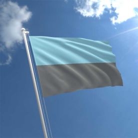 Autosexual Flag