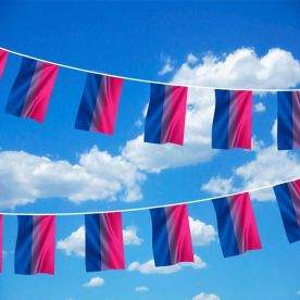 Bi Pride Bunting