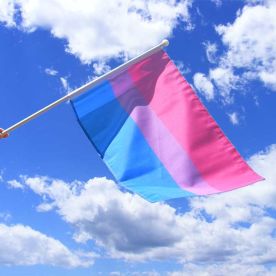 Bi Pride Hand Flag