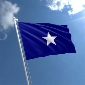 Bonnie Blue Flag