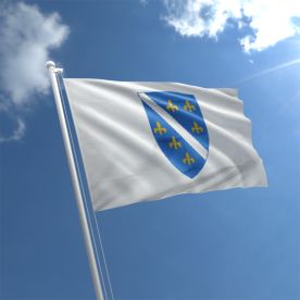 Bosnia Herzegovina old Flag