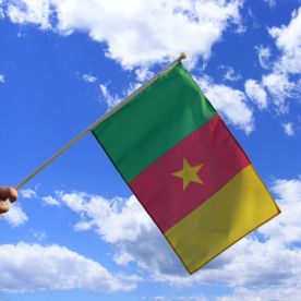 Cameroon Hand Waving Flag