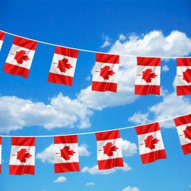 Canada Bunting 