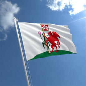 Cardiff Flag