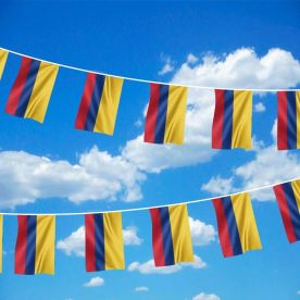 Colombia Bunting 