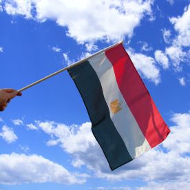 Egypt Hand Waving Flag