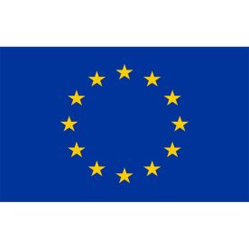 European Union Flag