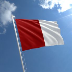Galway Flag