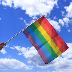 LGBT hand flag