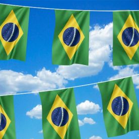 Giant Brazil Bunting