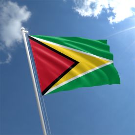 Guyana Flag