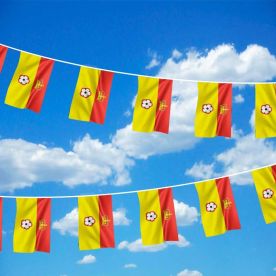 Hampshire Flag Bunting