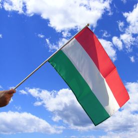 Hungary Hand Waving Flag