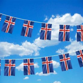 Iceland Bunting 