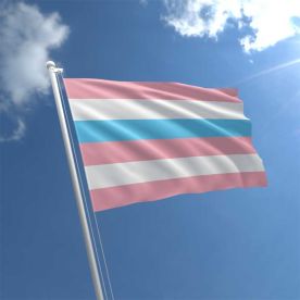 Intersex Flag