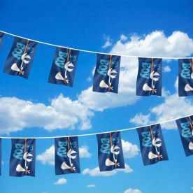 It's a Boy Bunting