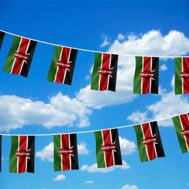 Kenya Bunting 