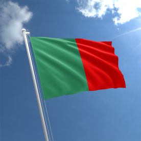Mayo Flag