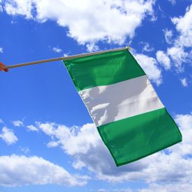 Nigeria Hand Waving Flag