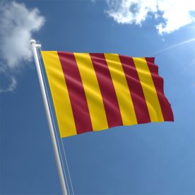 Northumbria Flag 