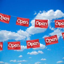 Open Bunting