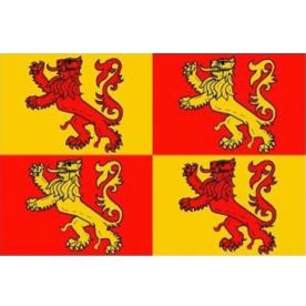 Owain Glyndwr flag